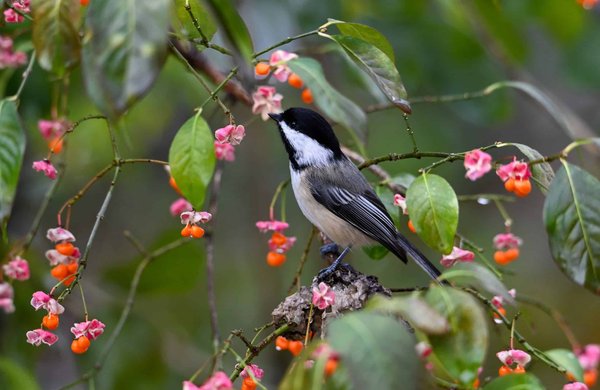 How Are Contemporary Artists Addressing Climate Change in the UK?